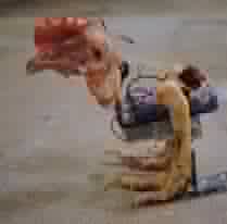 The most dangerous charcter in the world For สมาชม